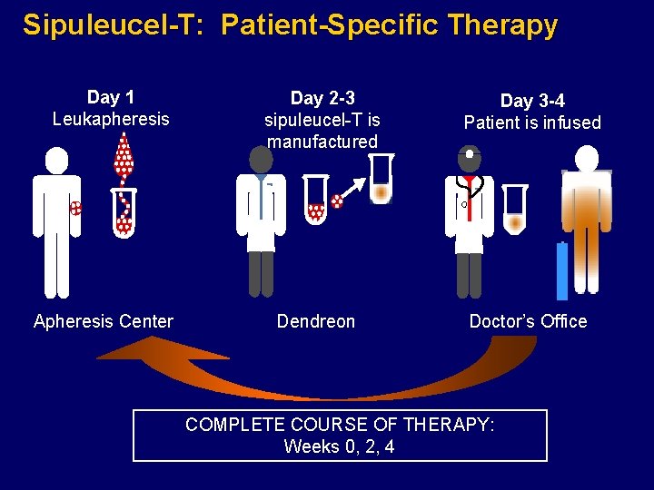 Sipuleucel-T: Patient-Specific Therapy Day 1 Leukapheresis Apheresis Center Day 2 -3 sipuleucel-T is manufactured