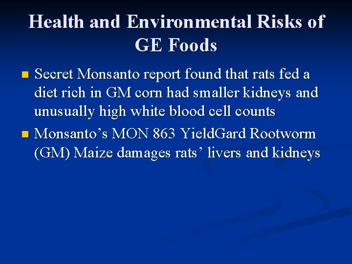 Health and Environmental Risks of GE Foods Secret Monsanto report found that rats fed