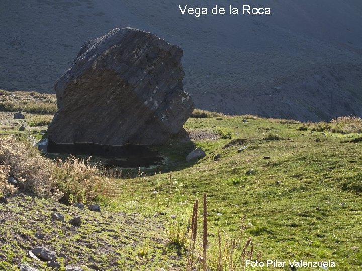 Vega de la Roca Foto Pilar Valenzuela 