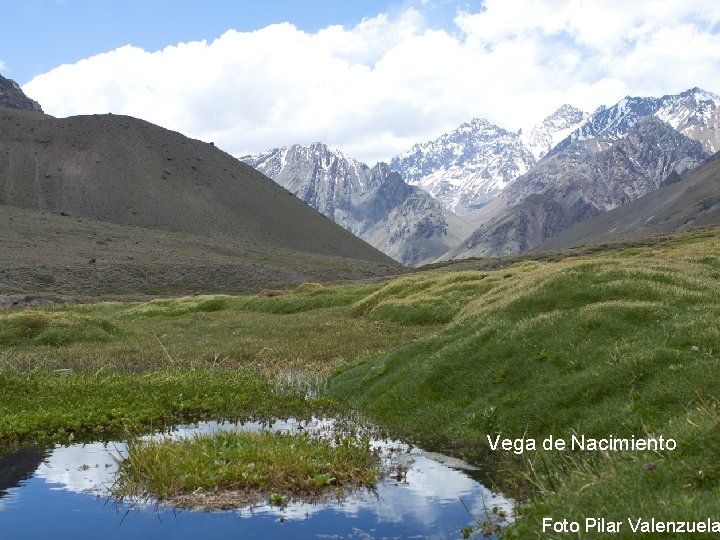 Vega de Nacimiento Foto Pilar Valenzuela 