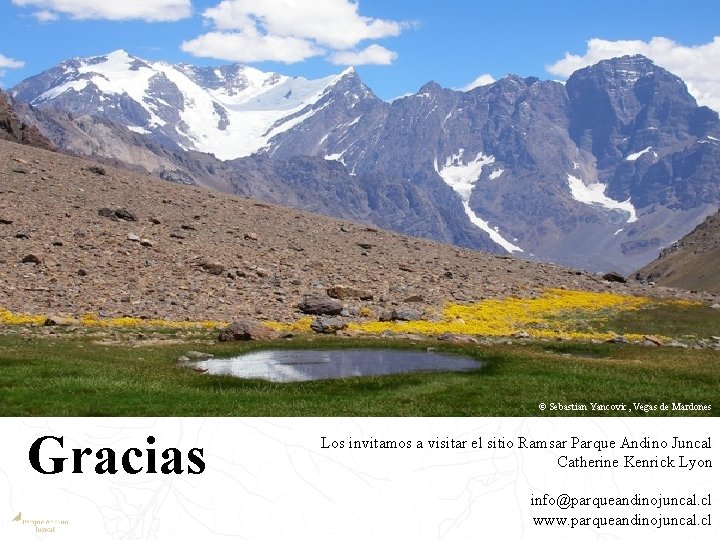 © Sebastian Yancovic, Vegas de Mardones Gracias Los invitamos a visitar el sitio Ramsar