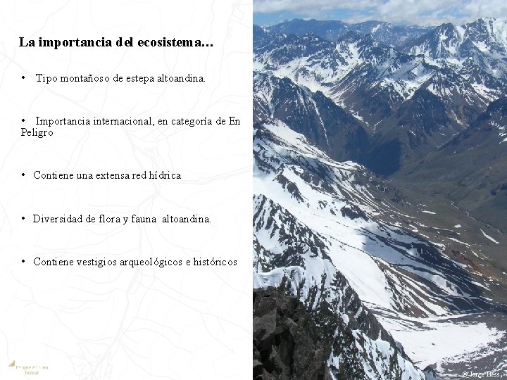 La importancia del ecosistema… • Tipo montañoso de estepa altoandina. • Importancia internacional, en