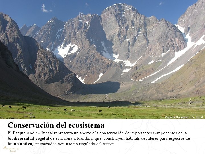 Vegas de Nacimiento, Río Juncal Conservación del ecosistema El Parque Andino Juncal representa un