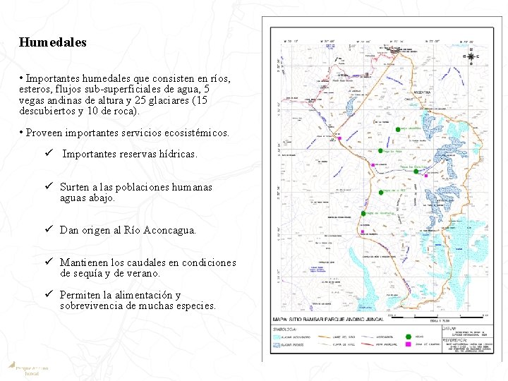 Humedales • Importantes humedales que consisten en ríos, esteros, flujos sub-superficiales de agua, 5