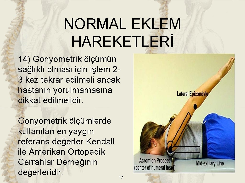 NORMAL EKLEM HAREKETLERİ 14) Gonyometrik ölçümün sağlıklı olması için işlem 23 kez tekrar edilmeli NORMAL EKLEM HAREKETLERİ 14) Gonyometrik ölçümün sağlıklı olması için işlem 23 kez tekrar edilmeli