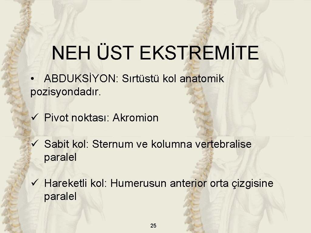 NEH ÜST EKSTREMİTE • ABDUKSİYON: Sırtüstü kol anatomik pozisyondadır. ü Pivot noktası: Akromion ü NEH ÜST EKSTREMİTE • ABDUKSİYON: Sırtüstü kol anatomik pozisyondadır. ü Pivot noktası: Akromion ü