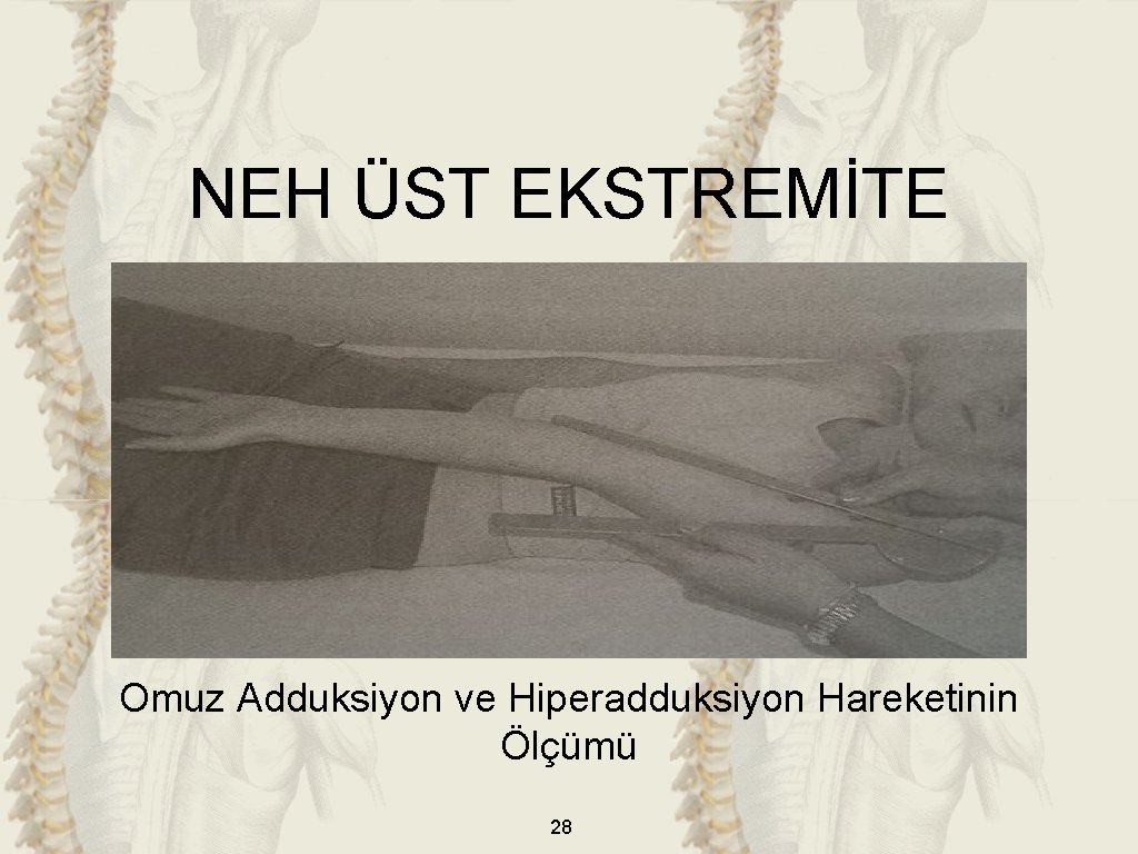 NEH ÜST EKSTREMİTE Omuz Adduksiyon ve Hiperadduksiyon Hareketinin Ölçümü 28 NEH ÜST EKSTREMİTE Omuz Adduksiyon ve Hiperadduksiyon Hareketinin Ölçümü 28