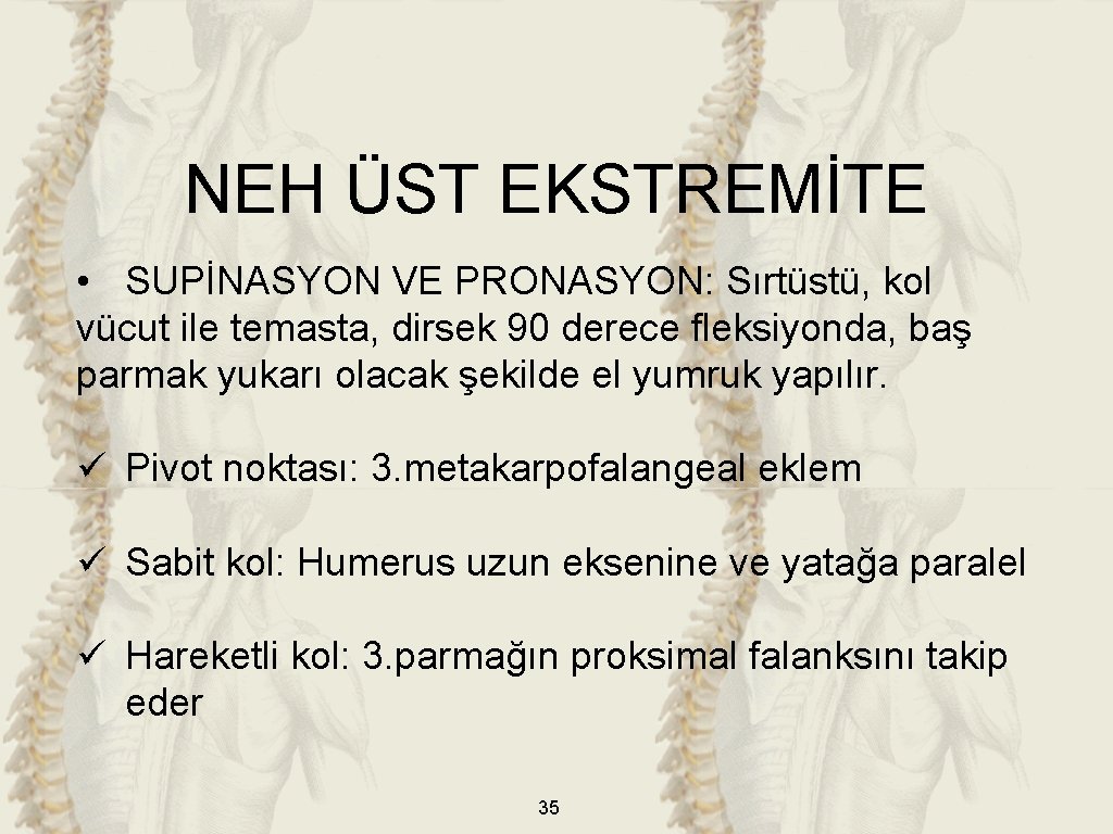 NEH ÜST EKSTREMİTE • SUPİNASYON VE PRONASYON: Sırtüstü, kol vücut ile temasta, dirsek 90 NEH ÜST EKSTREMİTE • SUPİNASYON VE PRONASYON: Sırtüstü, kol vücut ile temasta, dirsek 90