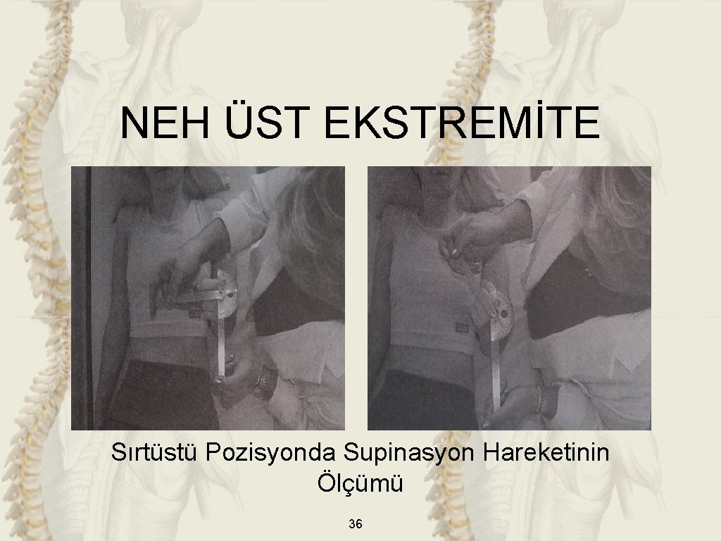 NEH ÜST EKSTREMİTE Sırtüstü Pozisyonda Supinasyon Hareketinin Ölçümü 36 NEH ÜST EKSTREMİTE Sırtüstü Pozisyonda Supinasyon Hareketinin Ölçümü 36