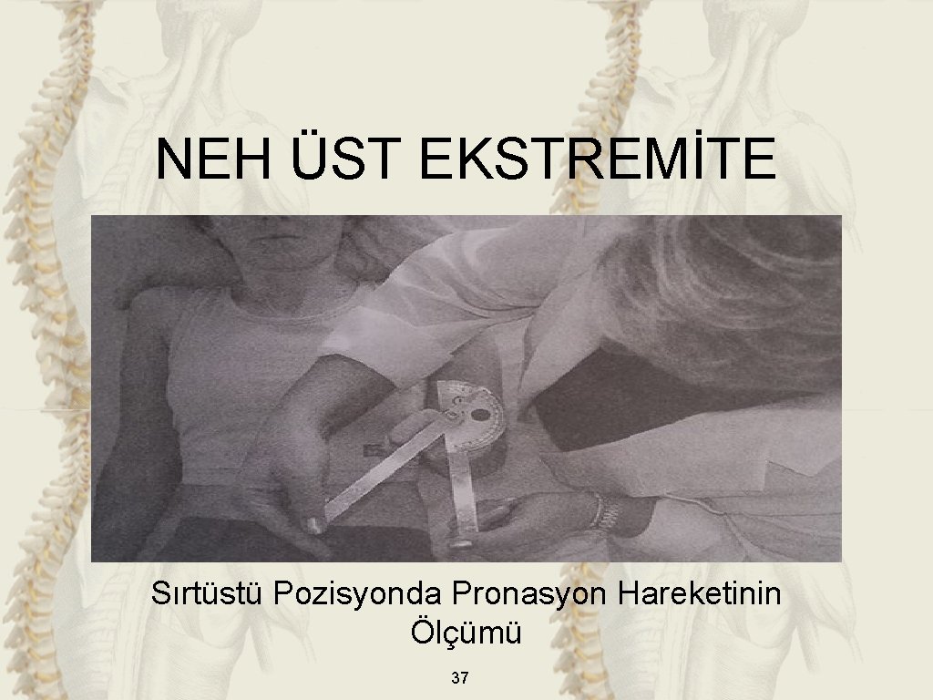 NEH ÜST EKSTREMİTE Sırtüstü Pozisyonda Pronasyon Hareketinin Ölçümü 37 NEH ÜST EKSTREMİTE Sırtüstü Pozisyonda Pronasyon Hareketinin Ölçümü 37