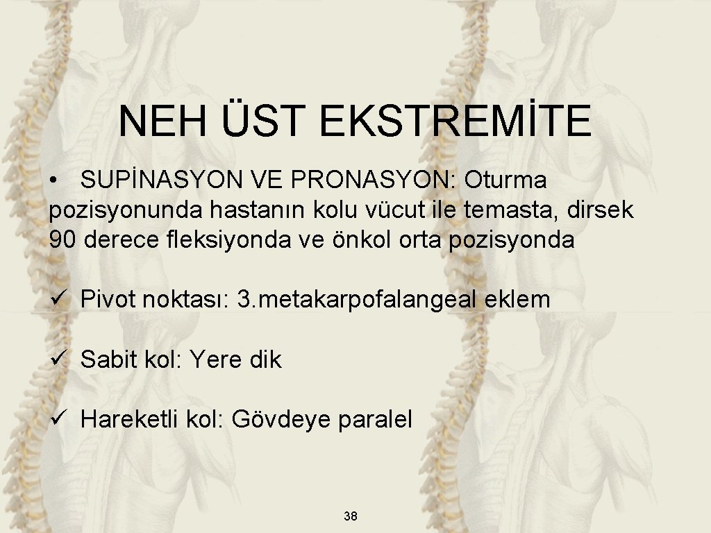 NEH ÜST EKSTREMİTE • SUPİNASYON VE PRONASYON: Oturma pozisyonunda hastanın kolu vücut ile temasta, NEH ÜST EKSTREMİTE • SUPİNASYON VE PRONASYON: Oturma pozisyonunda hastanın kolu vücut ile temasta,