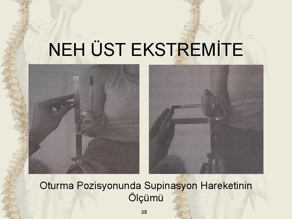 NEH ÜST EKSTREMİTE Oturma Pozisyonunda Supinasyon Hareketinin Ölçümü 39 NEH ÜST EKSTREMİTE Oturma Pozisyonunda Supinasyon Hareketinin Ölçümü 39