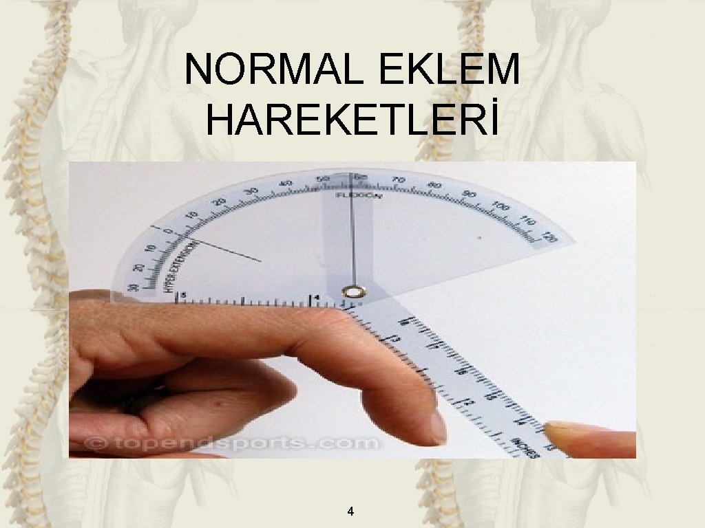 NORMAL EKLEM HAREKETLERİ 4 NORMAL EKLEM HAREKETLERİ 4
