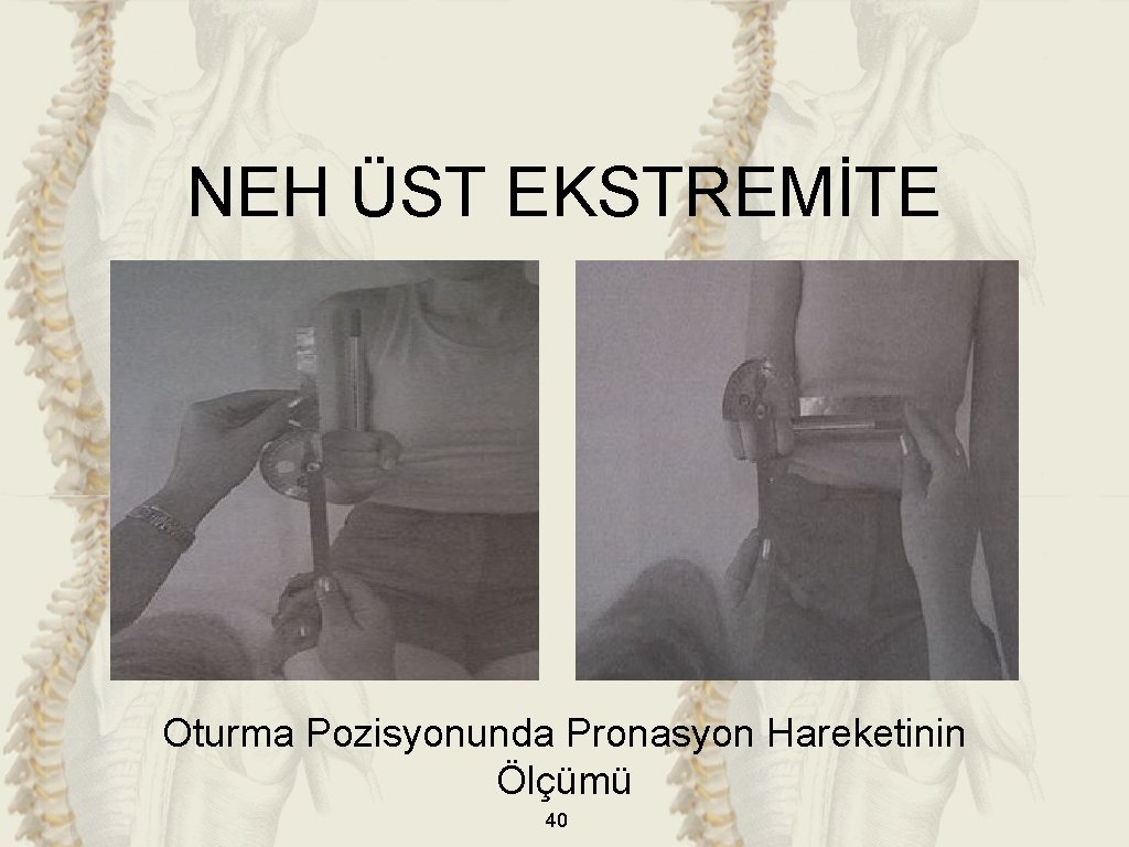 NEH ÜST EKSTREMİTE Oturma Pozisyonunda Pronasyon Hareketinin Ölçümü 40 NEH ÜST EKSTREMİTE Oturma Pozisyonunda Pronasyon Hareketinin Ölçümü 40