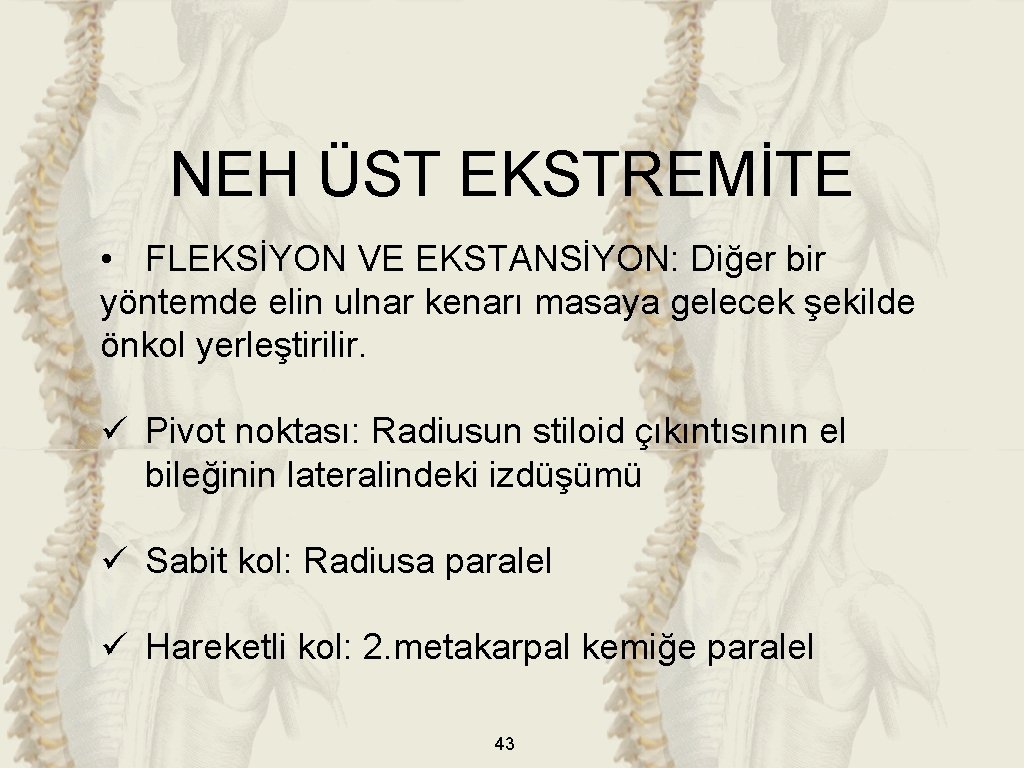 NEH ÜST EKSTREMİTE • FLEKSİYON VE EKSTANSİYON: Diğer bir yöntemde elin ulnar kenarı masaya NEH ÜST EKSTREMİTE • FLEKSİYON VE EKSTANSİYON: Diğer bir yöntemde elin ulnar kenarı masaya