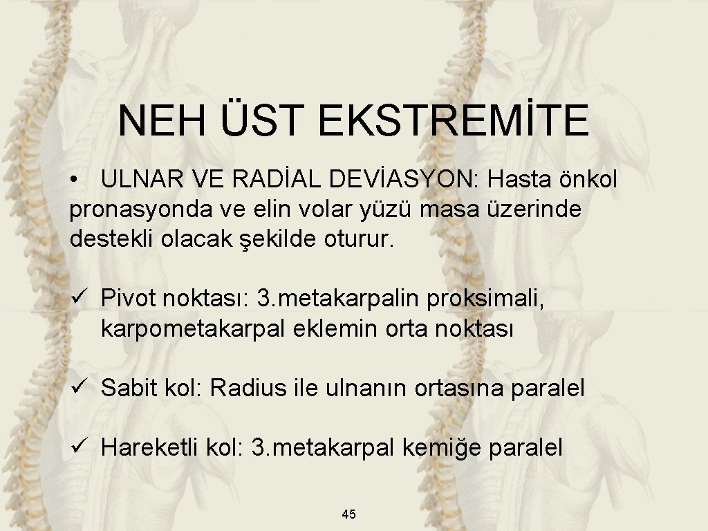 NEH ÜST EKSTREMİTE • ULNAR VE RADİAL DEVİASYON: Hasta önkol pronasyonda ve elin volar NEH ÜST EKSTREMİTE • ULNAR VE RADİAL DEVİASYON: Hasta önkol pronasyonda ve elin volar