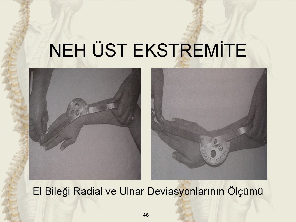 NEH ÜST EKSTREMİTE El Bileği Radial ve Ulnar Deviasyonlarının Ölçümü 46 NEH ÜST EKSTREMİTE El Bileği Radial ve Ulnar Deviasyonlarının Ölçümü 46