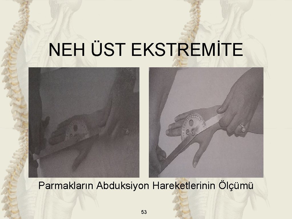 NEH ÜST EKSTREMİTE Parmakların Abduksiyon Hareketlerinin Ölçümü 53 NEH ÜST EKSTREMİTE Parmakların Abduksiyon Hareketlerinin Ölçümü 53