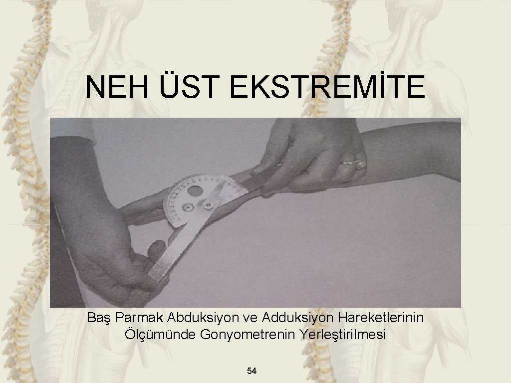NEH ÜST EKSTREMİTE Baş Parmak Abduksiyon ve Adduksiyon Hareketlerinin Ölçümünde Gonyometrenin Yerleştirilmesi 54 NEH ÜST EKSTREMİTE Baş Parmak Abduksiyon ve Adduksiyon Hareketlerinin Ölçümünde Gonyometrenin Yerleştirilmesi 54