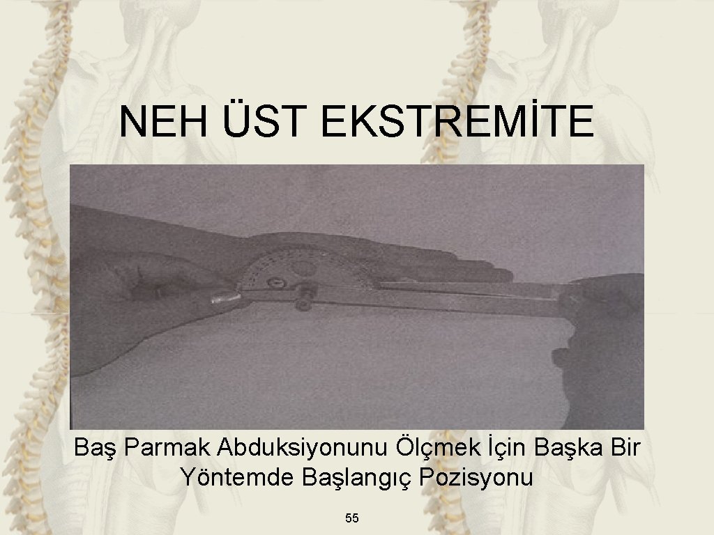 NEH ÜST EKSTREMİTE Baş Parmak Abduksiyonunu Ölçmek İçin Başka Bir Yöntemde Başlangıç Pozisyonu 55 NEH ÜST EKSTREMİTE Baş Parmak Abduksiyonunu Ölçmek İçin Başka Bir Yöntemde Başlangıç Pozisyonu 55