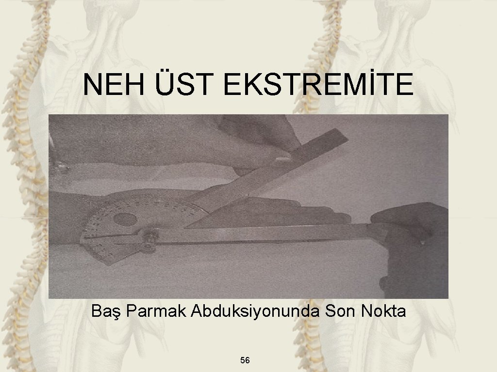 NEH ÜST EKSTREMİTE Baş Parmak Abduksiyonunda Son Nokta 56 NEH ÜST EKSTREMİTE Baş Parmak Abduksiyonunda Son Nokta 56