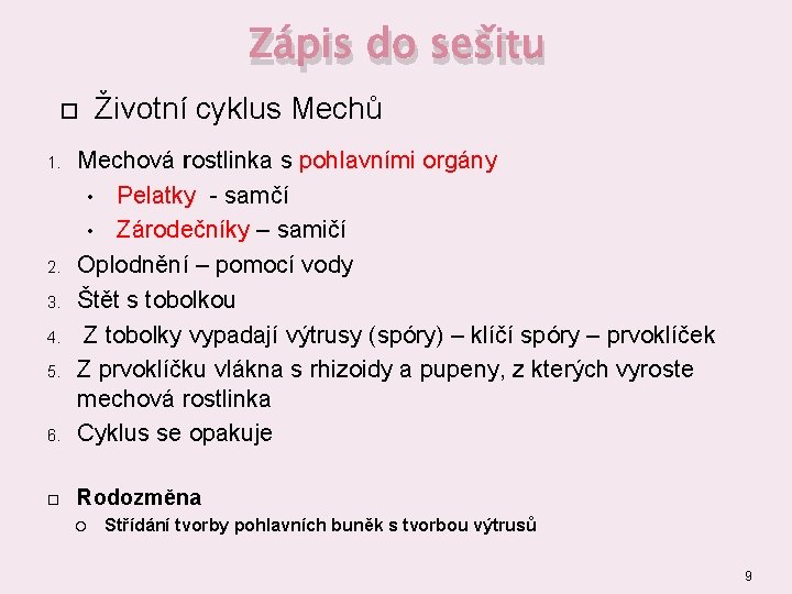 Zápis do sešitu Životní cyklus Mechů 6. Mechová rostlinka s pohlavními orgány • Pelatky