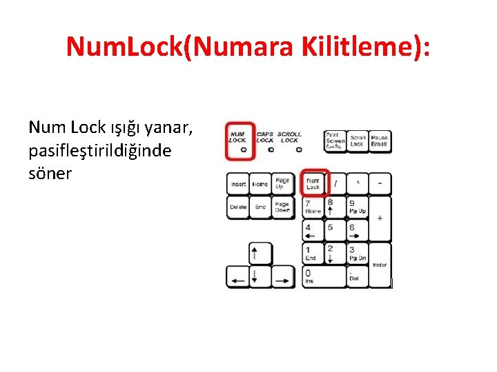 Num. Lock(Numara Kilitleme): Num Lock ışığı yanar, pasifleştirildiğinde söner 