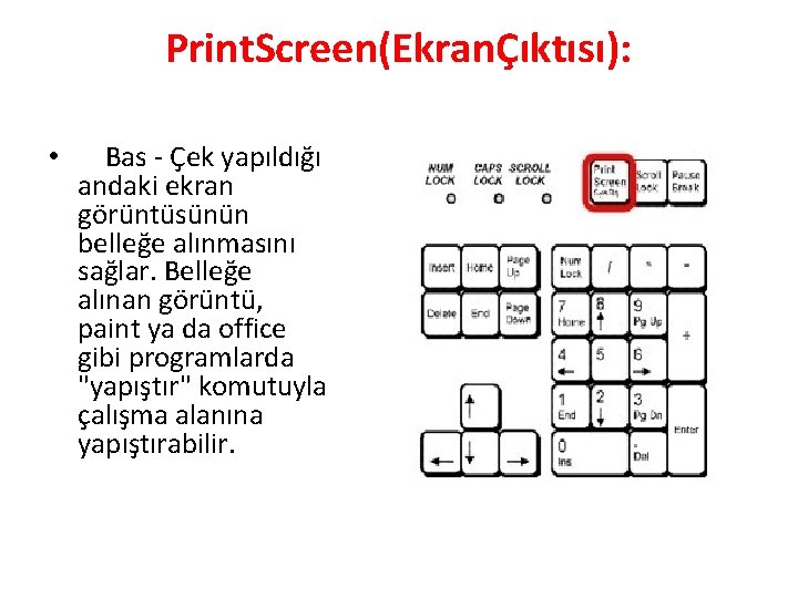 Print. Screen(EkranÇıktısı): • Bas - Çek yapıldığı andaki ekran görüntüsünün belleğe alınmasını sağlar. Belleğe