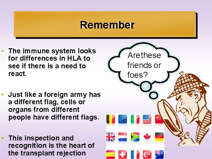 Remember • The immune system looks for differences in HLA to see if there