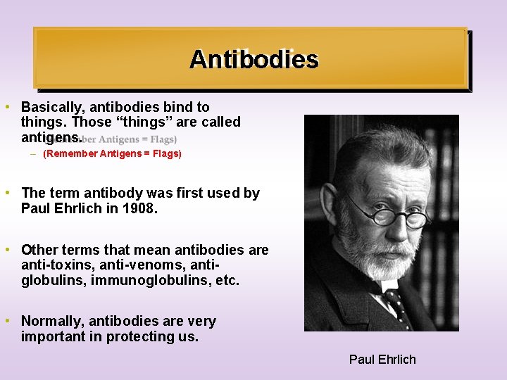 Antibodies • Basically, antibodies bind to things. Those “things” are called antigens. – (Remember