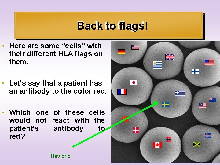 Back to flags! • Here are some “cells” with their different HLA flags on
