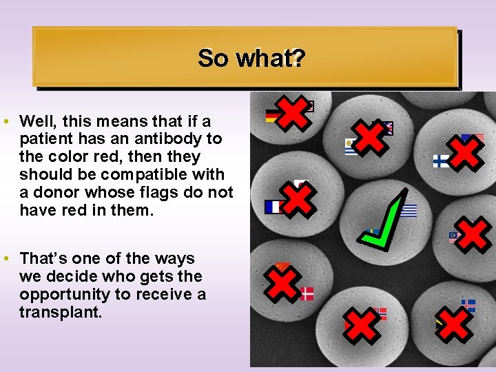 So what? • Well, this means that if a patient has an antibody to