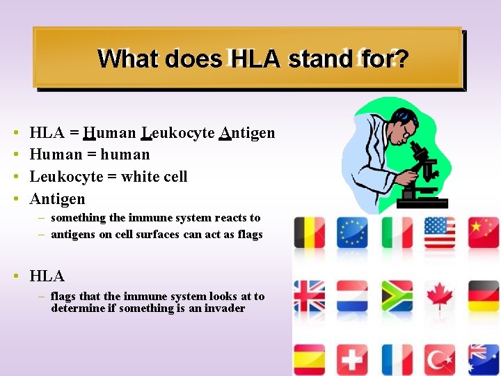 What does HLA stand for? • • HLA = Human Leukocyte Antigen Human =