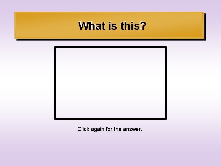 What is this? Click again for the answer. 