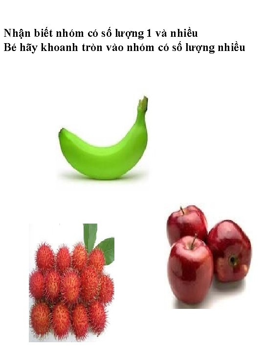 Nhận biết nhóm có số lượng 1 và nhiều Bé hãy khoanh tròn vào