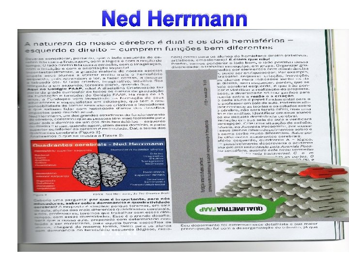 Ned Herrmann 