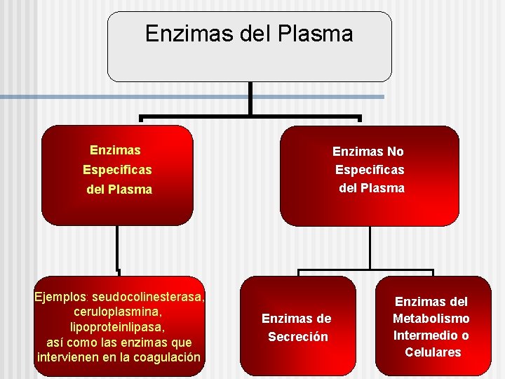 Enzimas del Plasma Enzimas No Especificas del Plasma Ejemplos: seudocolinesterasa, ceruloplasmina, lipoproteinlipasa, así como