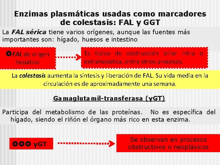 Enzimas plasmáticas usadas como marcadores de colestasis: FAL y GGT La FAL sérica tiene