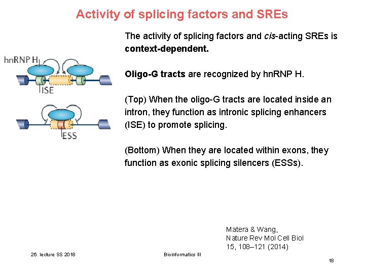 Activity of splicing factors and SREs The activity of splicing factors and cis-acting SREs Activity of splicing factors and SREs The activity of splicing factors and cis-acting SREs