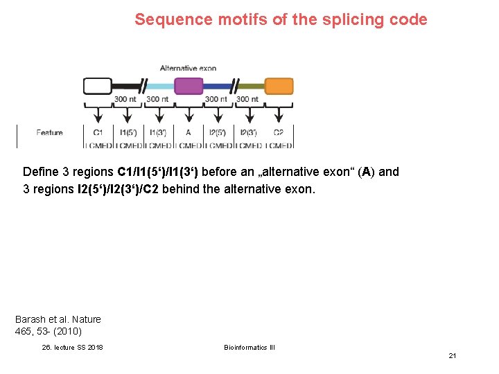 Sequence motifs of the splicing code Define 3 regions C 1/I 1(5‘)/I 1(3‘) before Sequence motifs of the splicing code Define 3 regions C 1/I 1(5‘)/I 1(3‘) before