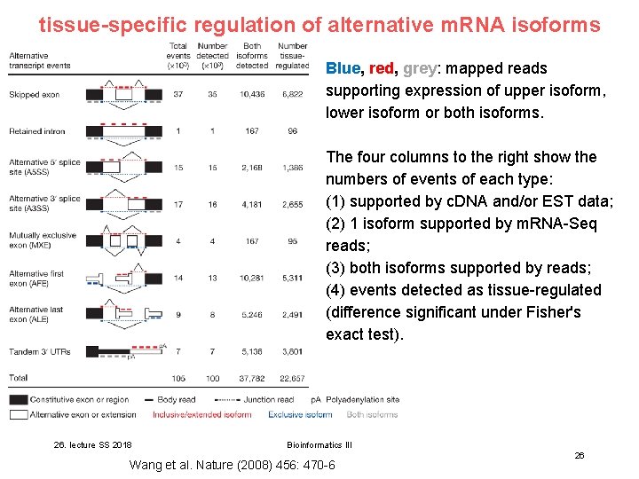 tissue-specific regulation of alternative m. RNA isoforms Blue, red, grey: mapped reads supporting expression tissue-specific regulation of alternative m. RNA isoforms Blue, red, grey: mapped reads supporting expression