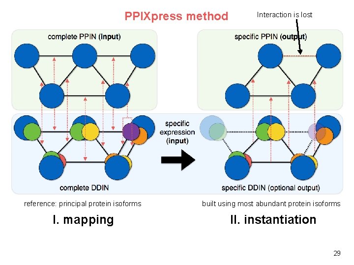PPIXpress method Interaction is lost reference: principal protein isoforms built using most abundant protein PPIXpress method Interaction is lost reference: principal protein isoforms built using most abundant protein
