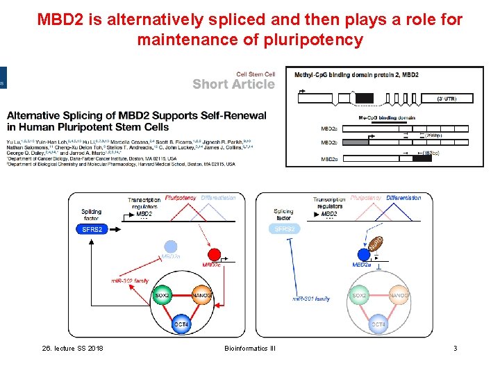 MBD 2 is alternatively spliced and then plays a role for maintenance of pluripotency MBD 2 is alternatively spliced and then plays a role for maintenance of pluripotency