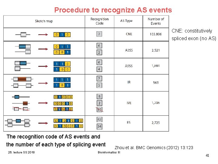 Procedure to recognize AS events CNE: constitutively spliced exon (no AS) The recognition code Procedure to recognize AS events CNE: constitutively spliced exon (no AS) The recognition code