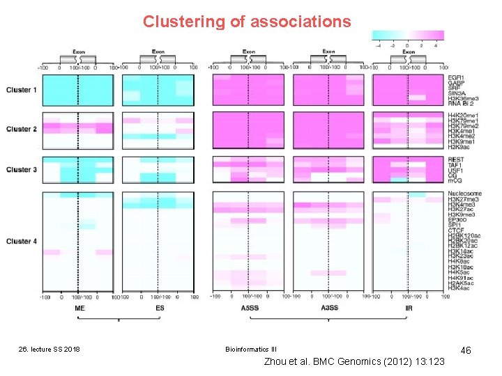 Clustering of associations Ch. IP-seq data for TF binding. 26. lecture SS 2018 Bioinformatics Clustering of associations Ch. IP-seq data for TF binding. 26. lecture SS 2018 Bioinformatics