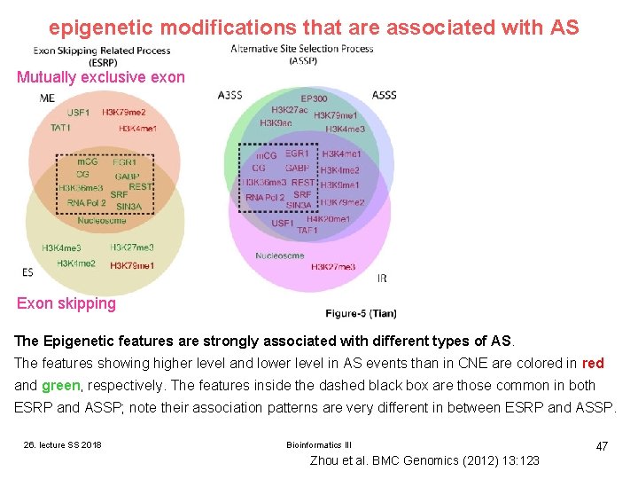 epigenetic modifications that are associated with AS Mutually exclusive exon Exon skipping The Epigenetic epigenetic modifications that are associated with AS Mutually exclusive exon Exon skipping The Epigenetic