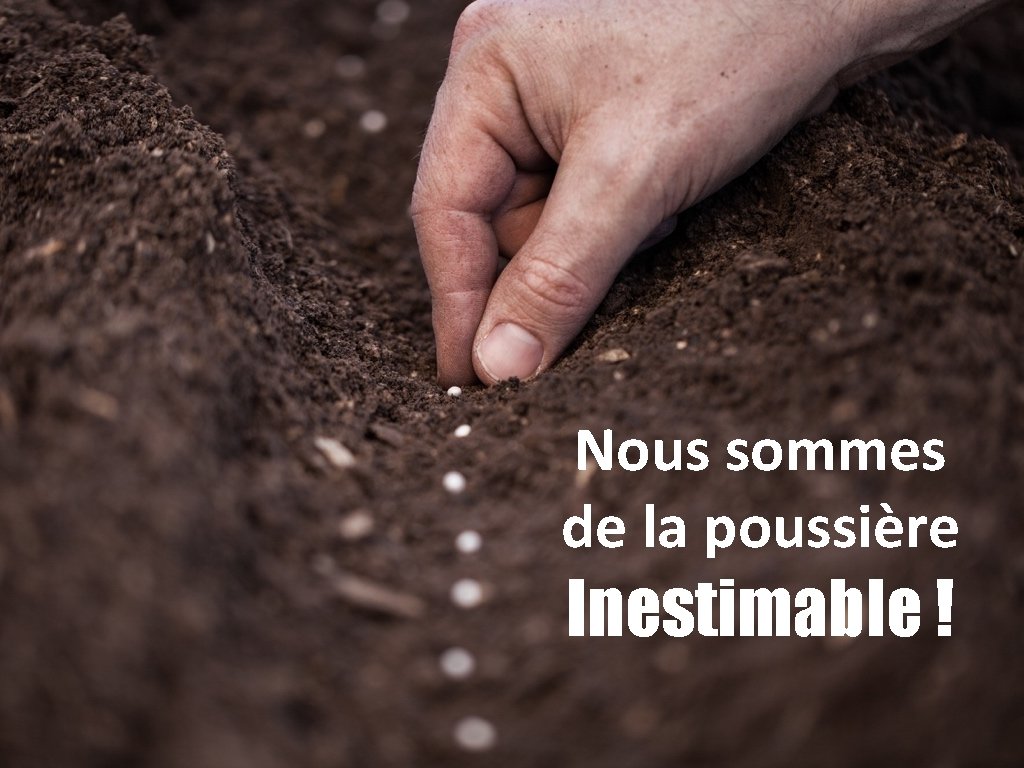 Nous sommes de la poussière Inestimable ! 