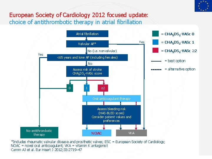 European Society of Cardiology 2012 focused update: choice of antithrombotic therapy in atrial fibrillation