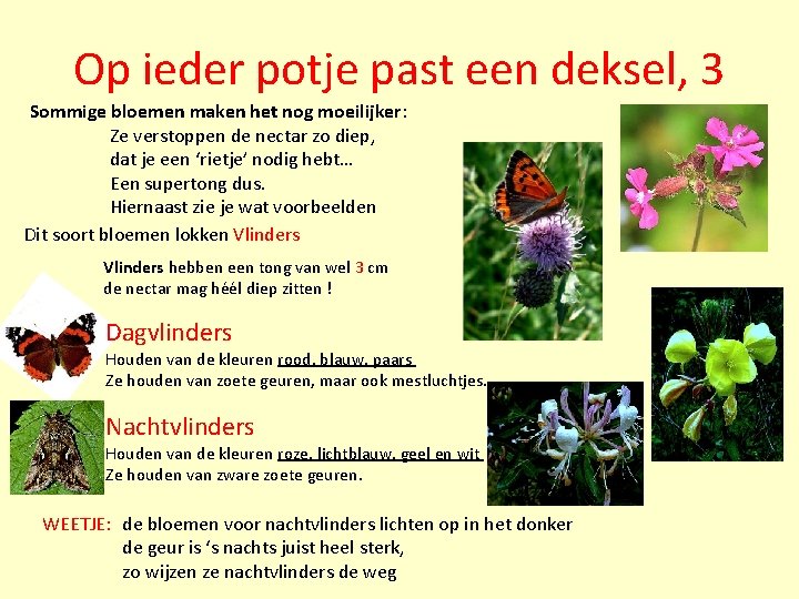 Op ieder potje past een deksel, 3 Sommige bloemen maken het nog moeilijker: Ze Op ieder potje past een deksel, 3 Sommige bloemen maken het nog moeilijker: Ze