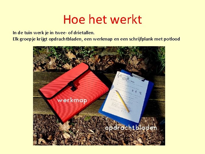 Hoe het werkt In de tuin werk je in twee- of drietallen. Elk groepje Hoe het werkt In de tuin werk je in twee- of drietallen. Elk groepje
